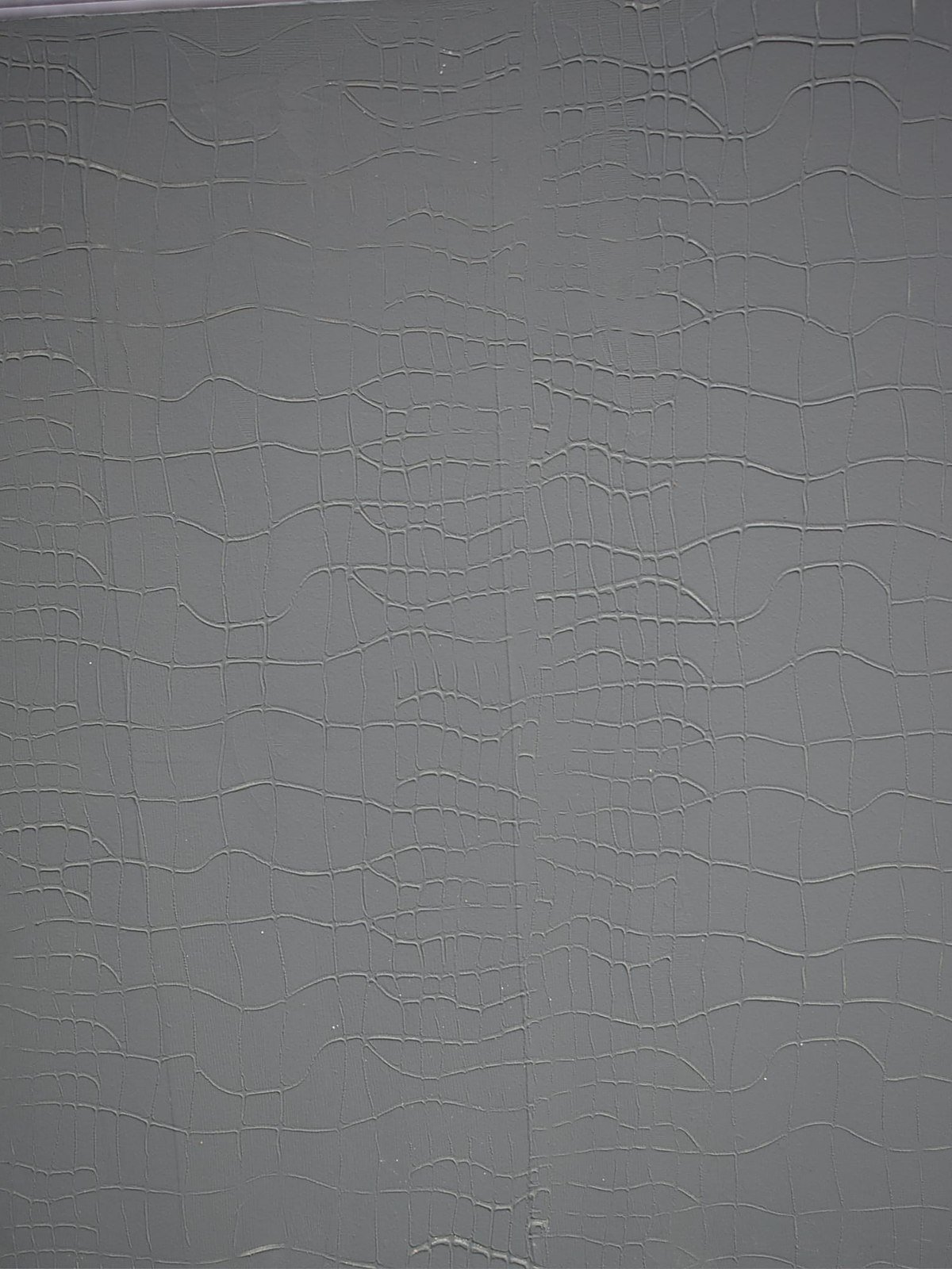 Betonlook accentwand